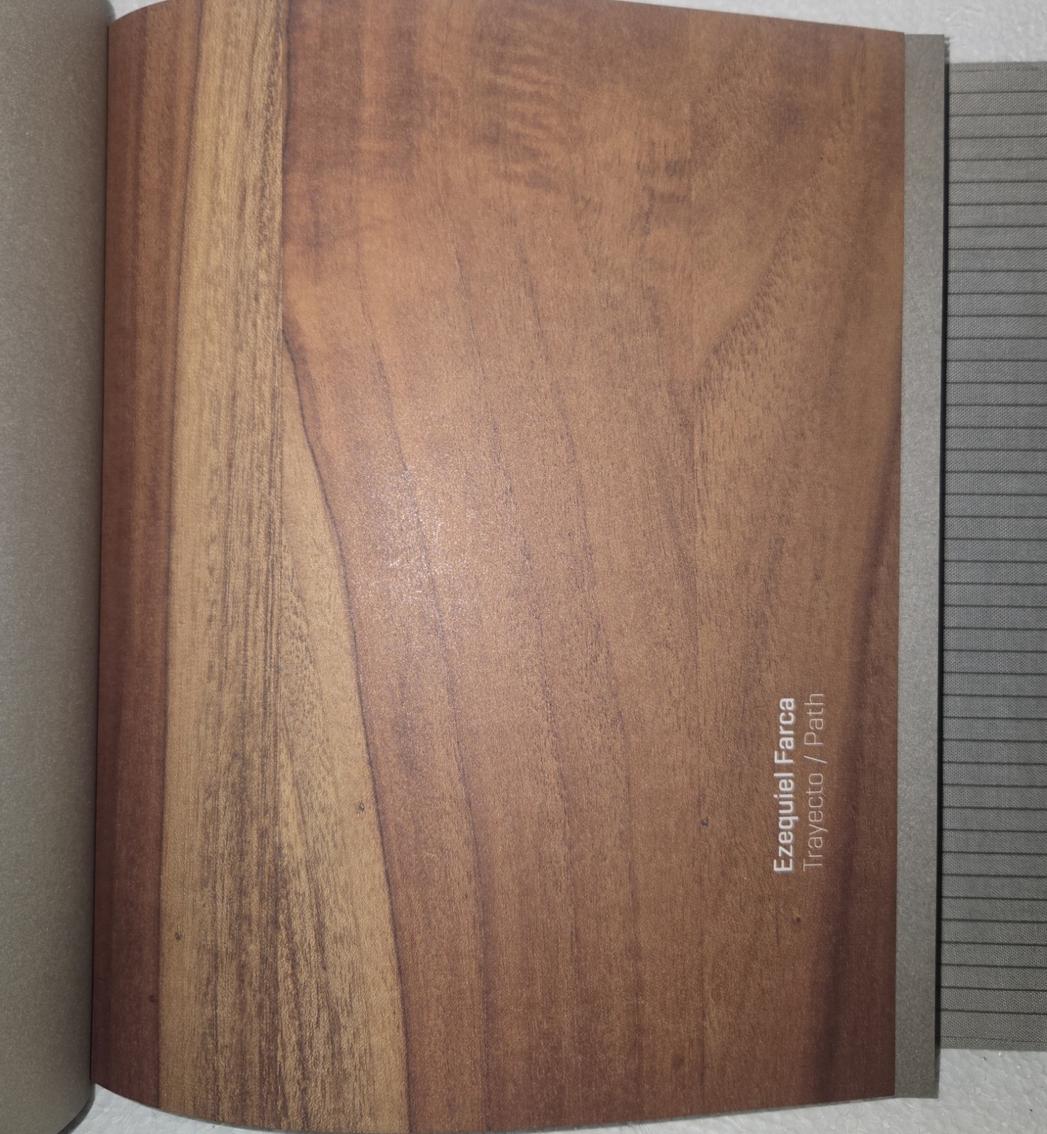 Ezequiel Farca Trayecto / Path Hardcover – Arquine 2012 First Edition 294 Pages