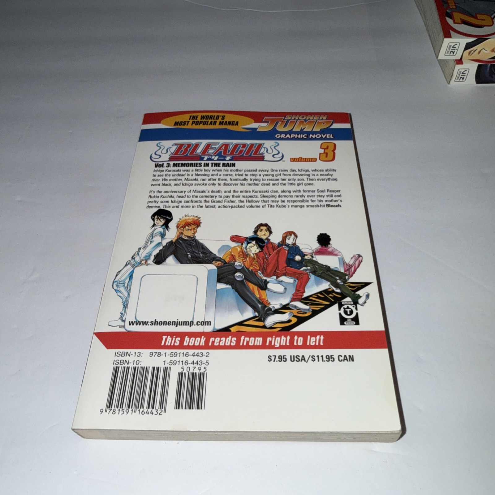 Bleach Manga Vol 1-3 English Graphic Novel Paperback