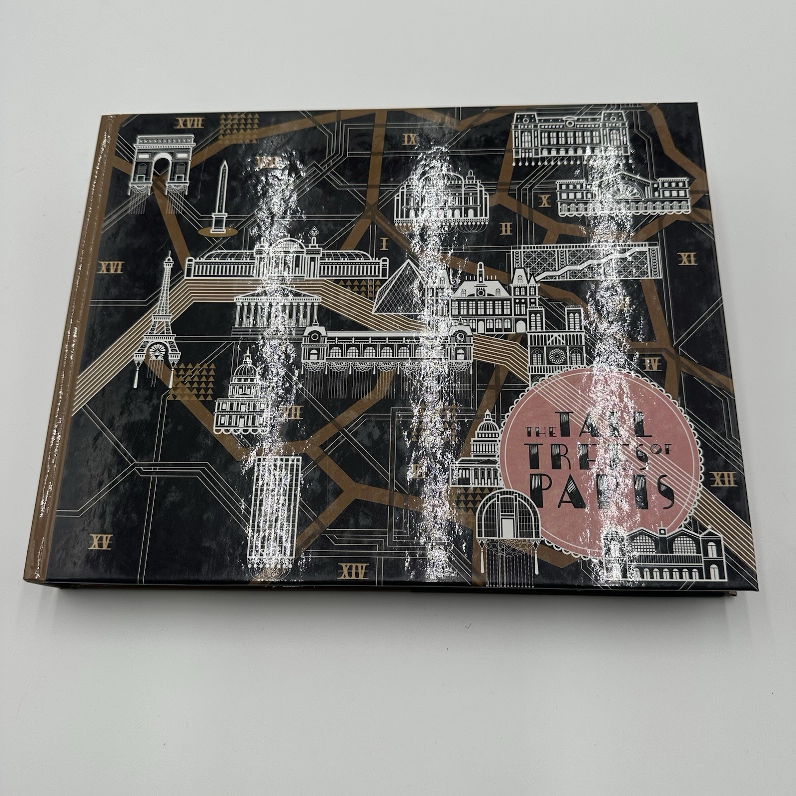 Tall Trees of Paris : 42 Independent Artists Share Their City and Their Work