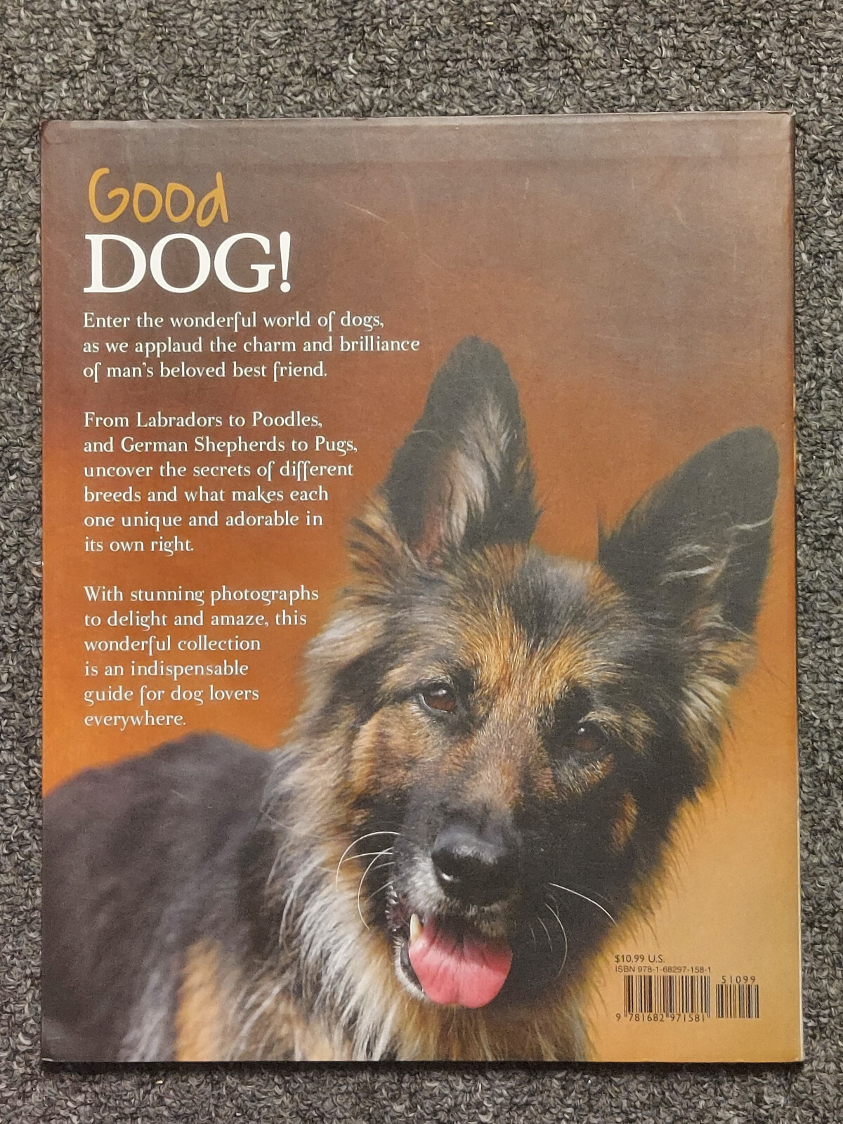 Good Dog Large 12 X 9 1/2 inch Dog Breed Picture Book w/ Center Puppy Fold Out.