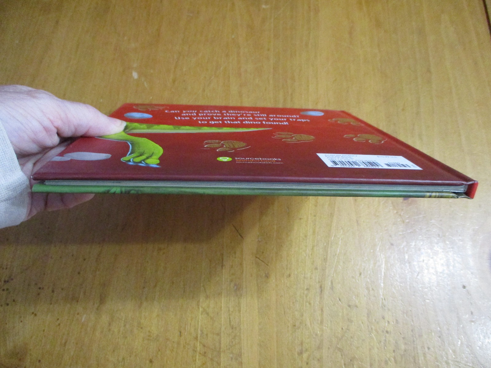 2-Kids Books Learn About Dinosaurs Lift The Flap & How To Catch a Dinosaur