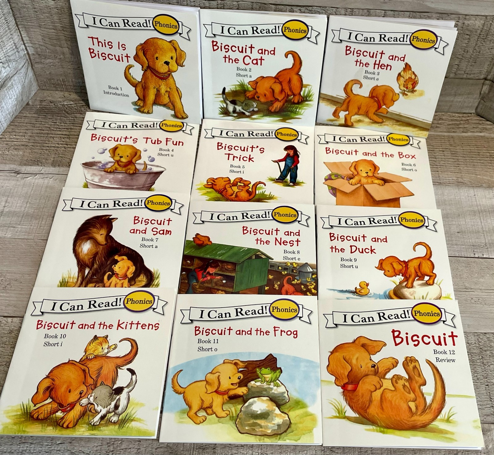 I Can Read Phonics (Short Vowels) “This is Biscuit” Set of 12