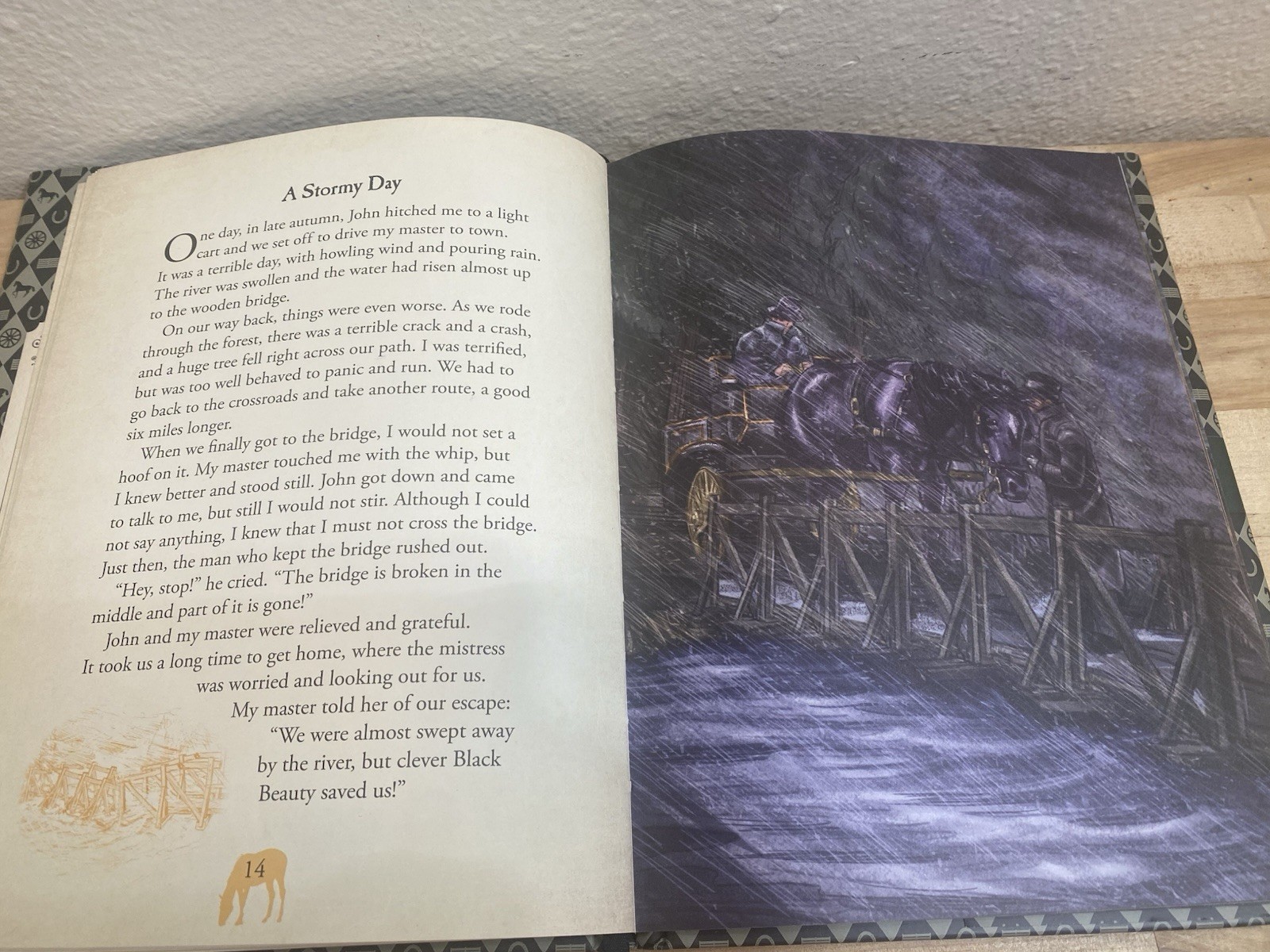 Black Beauty Illustrated Classic by Anna Sewell, Anne Rooney