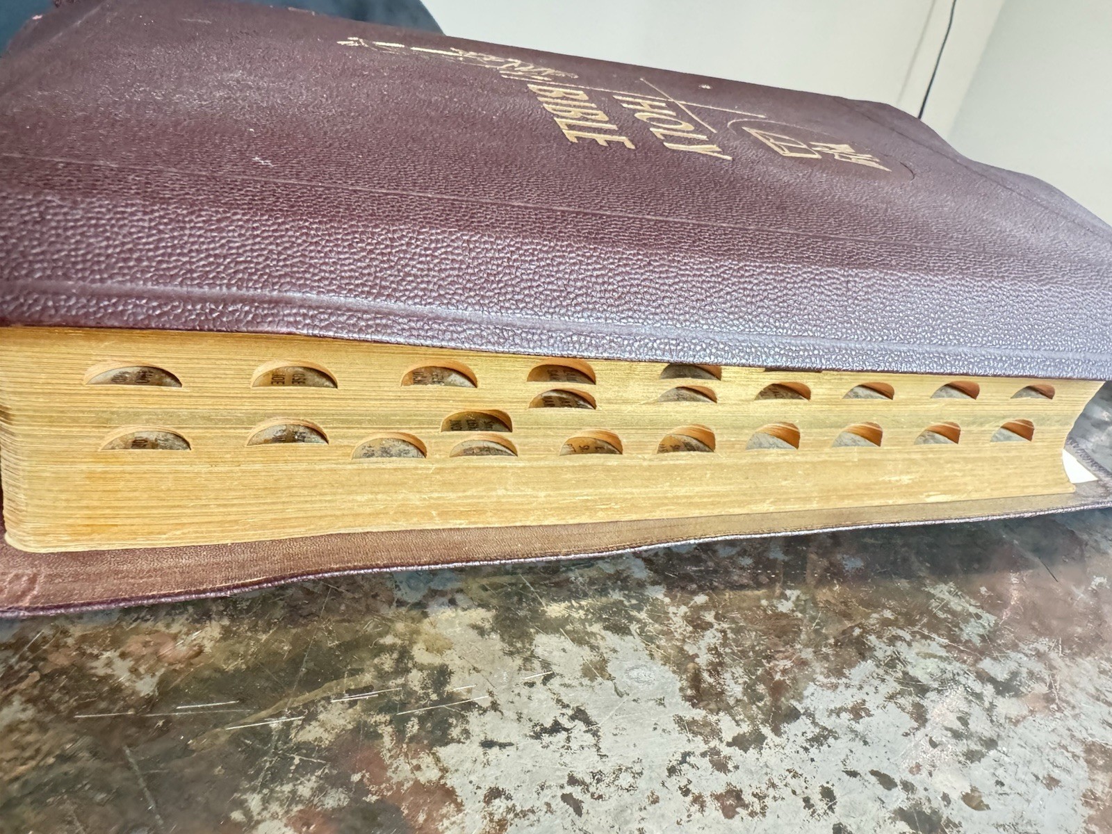 The Holy Bible The Catholic Press Holy Family Edition 1950