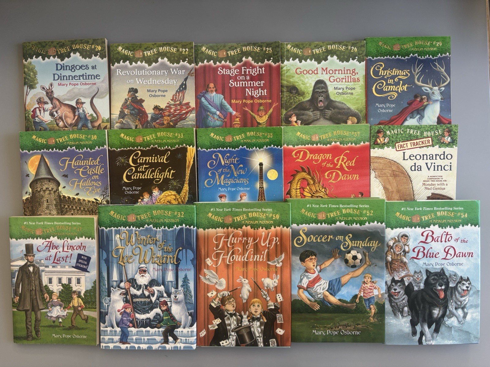 Magic Tree House Chapter Books YOU CHOOSE PICK, BUILD A LOT Merlin Mission
