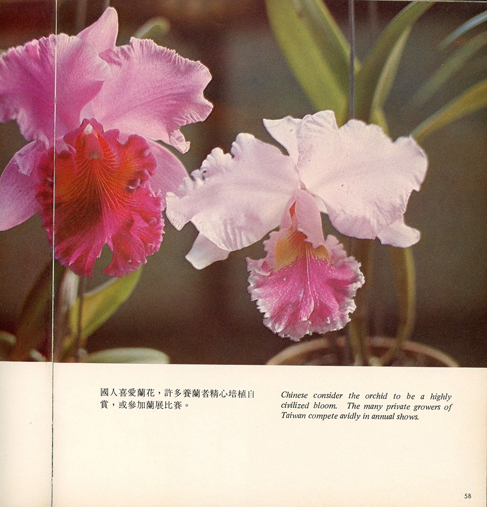 TAIWAN TODAY – 1976 COLOR PICTORIAL – PB
