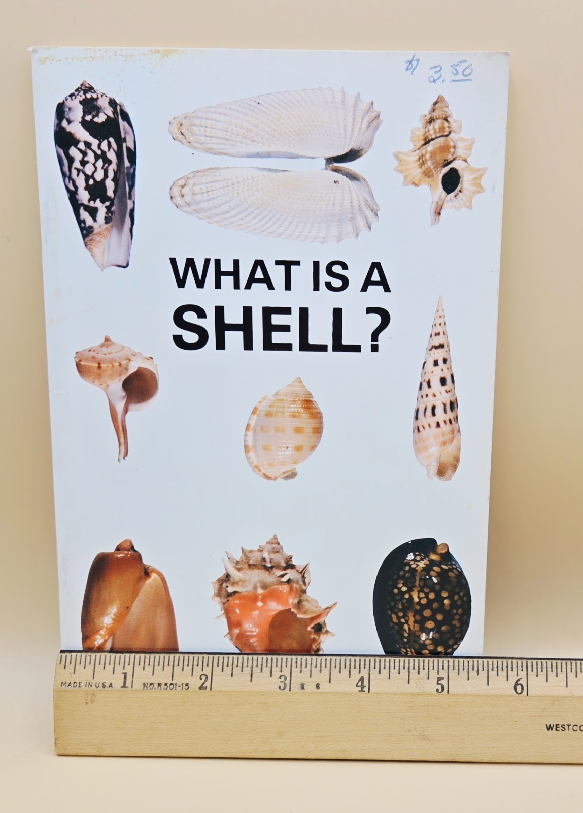 Vintage 1975 WHAT IS A SHELL? Educational Book, VERY GOOD, LN