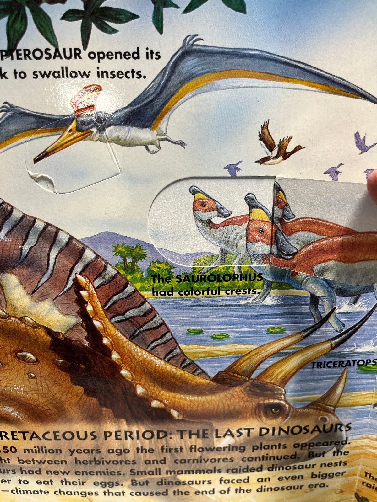 3 Dinosaurs Curriculum 3 Kids Student Information Home school Classroom Lot of 6
