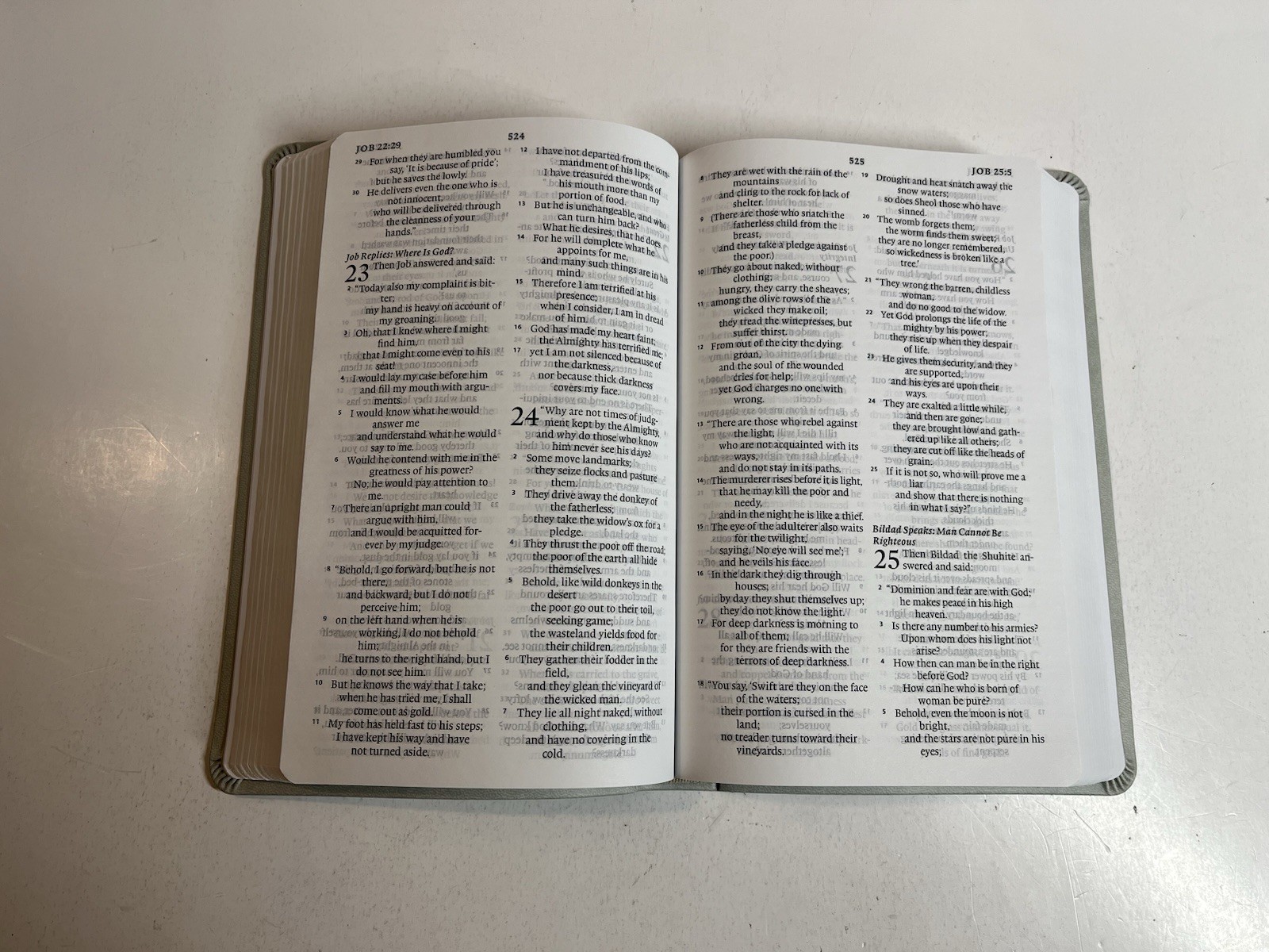 ESV Large Print Value Thinline Bible (Trutone, River Stone, Branch Design)