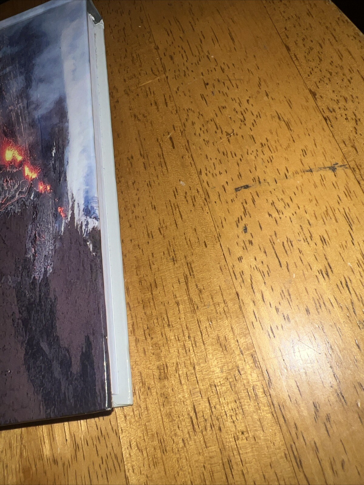 Natural Disasters by Patrick L. Abbott (2019, Hardcover)