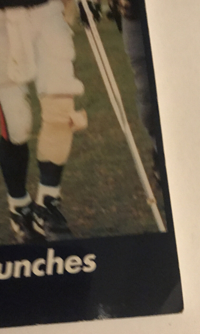 Champions on the Field: Undefeated Season Lauches Bowden Era 127 Pages 1993. B30