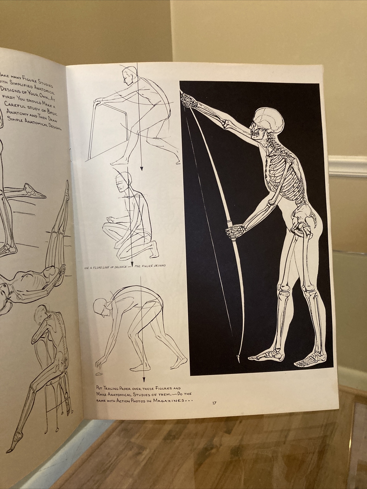ANATOMY by Walter T Foster VINTAGE Paperback Drawing Book, Large Size QUICK SHIP
