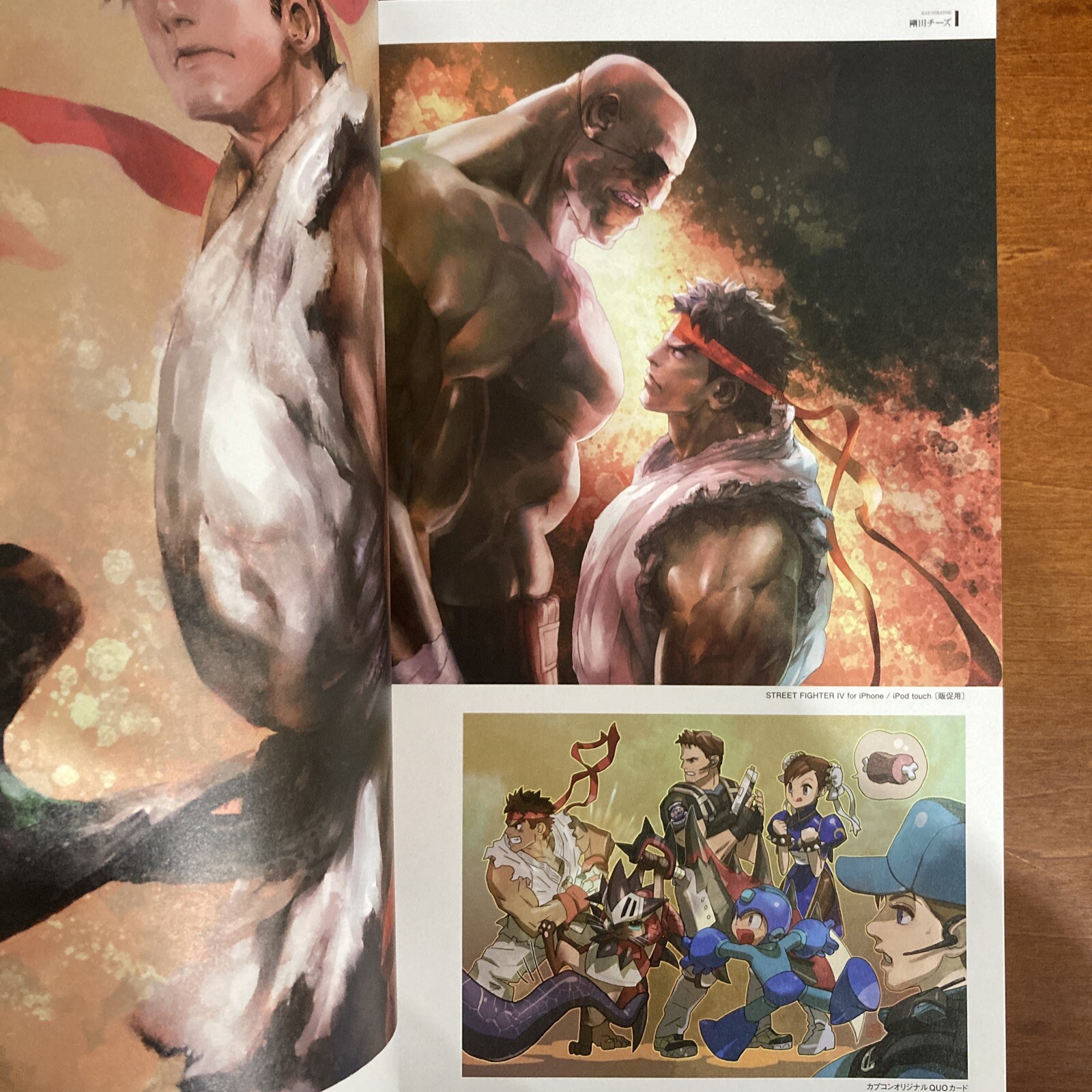 Street Fighter Artworks Kyoku Art Book Illustration