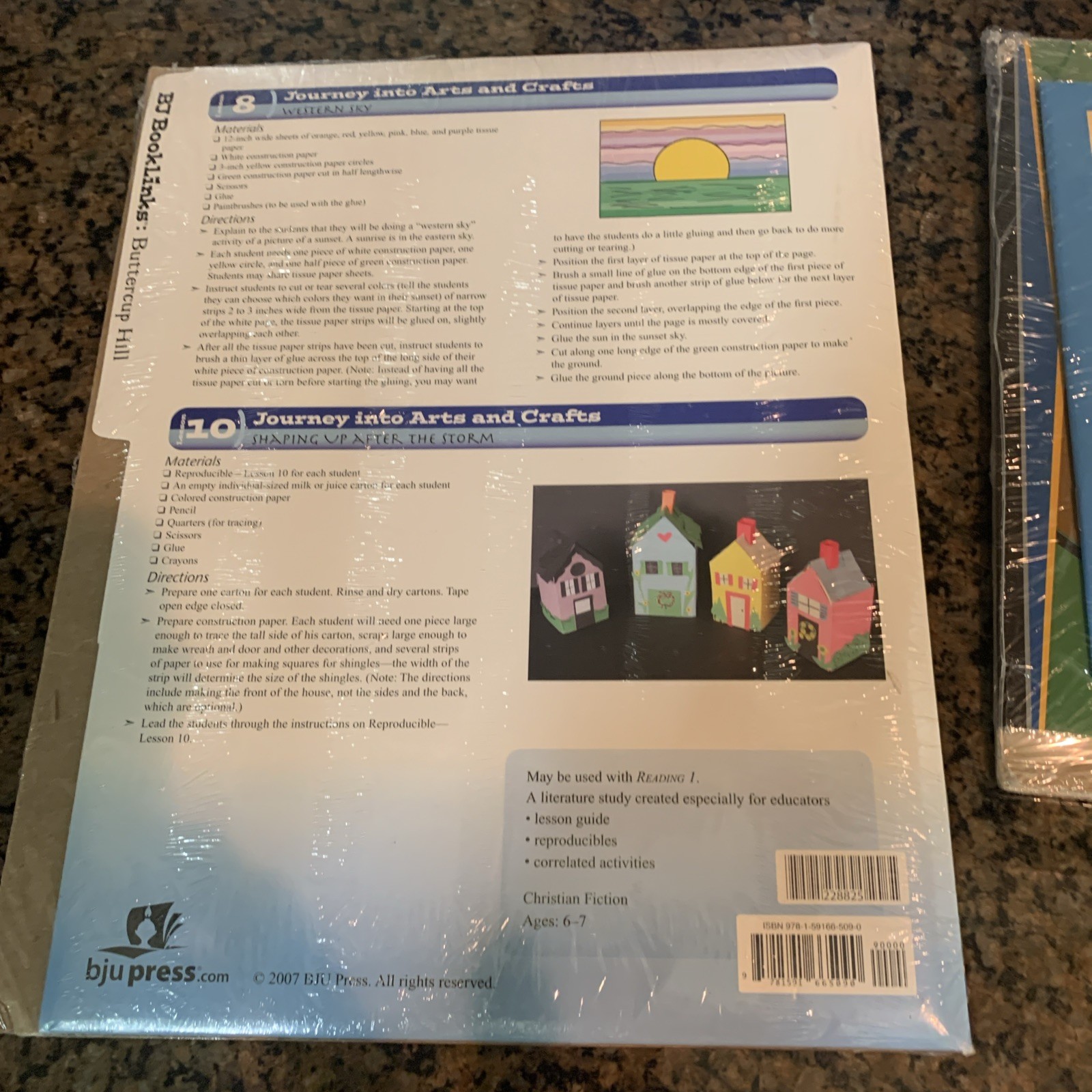 BJU BookLinks Looking For Home Golden Cowrie Derwood Inc Dog napped Cat 6 Total