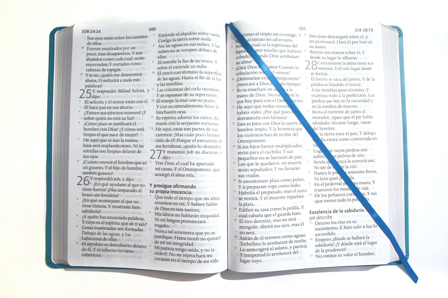 Biblia Reina Valera Letra Súper Gigante, Símil Piel Aguamarina / Spanish Bible R