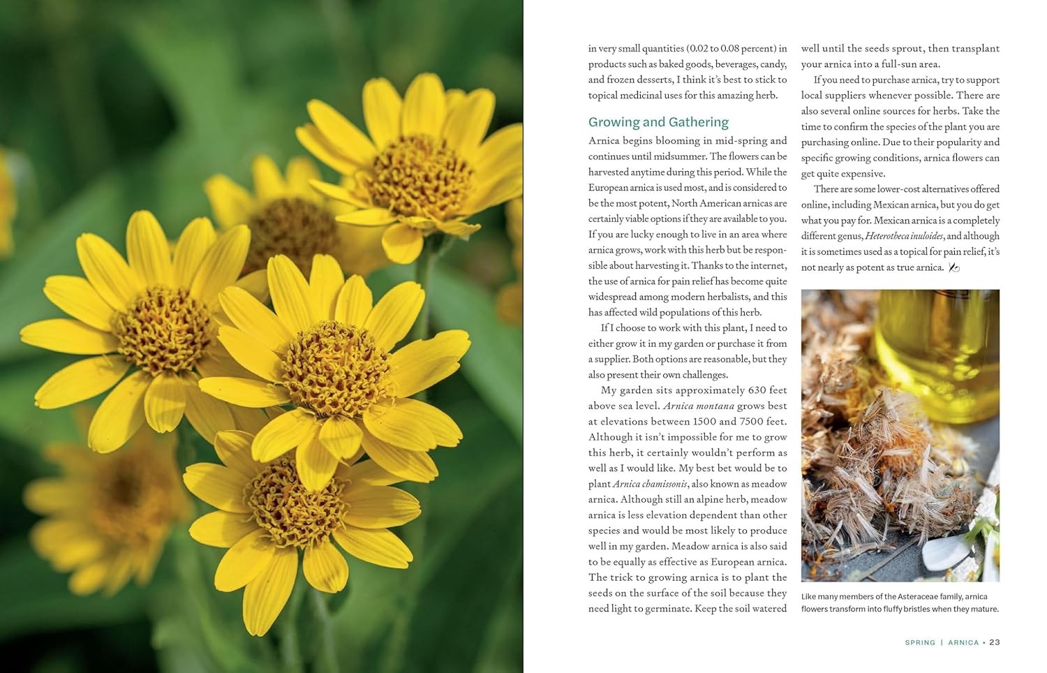 Seasonal Herbs: 48 Edible and Medicinal Varieties for Kitchen and Garden