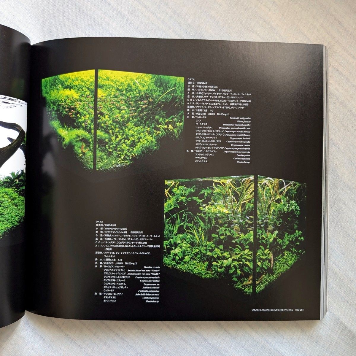 Takashi Amano: Nature Aquarium Works, Photo Book, ADA, Rare