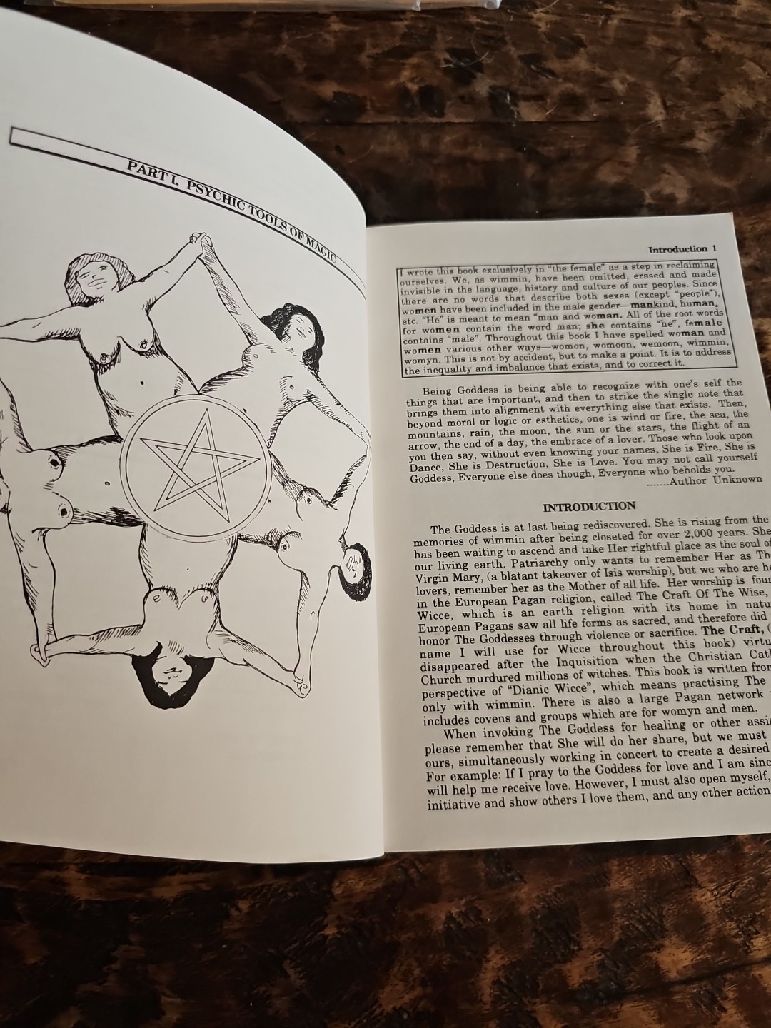 Wild Witches Don’t Get the Blues Ffiona Morgan 1991 Astrology Rituals Healing