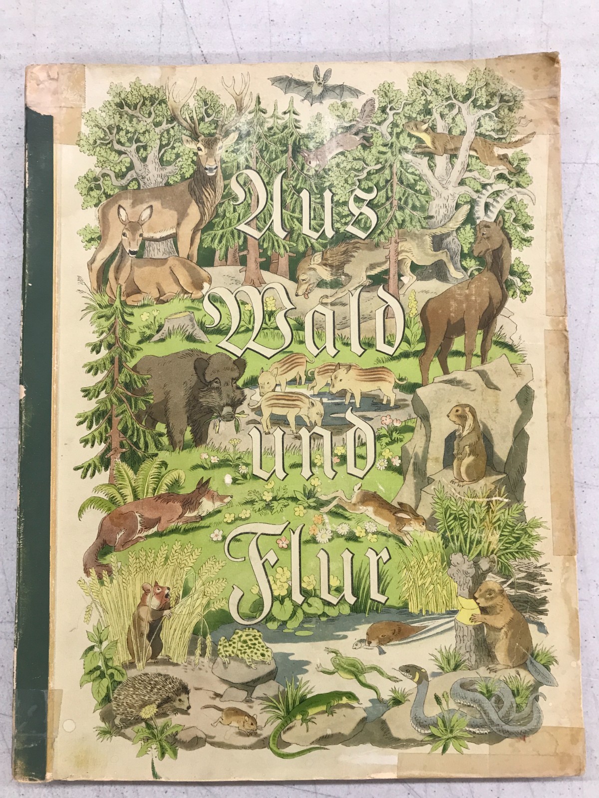 Aus Wald Und Flur – Two German Books 1937/1938 Plants and Animals, Set of 2 E-77