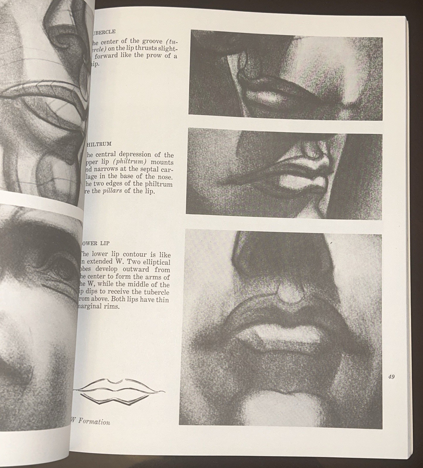 Drawing the Human Head by Burne Hogarth PB – Good