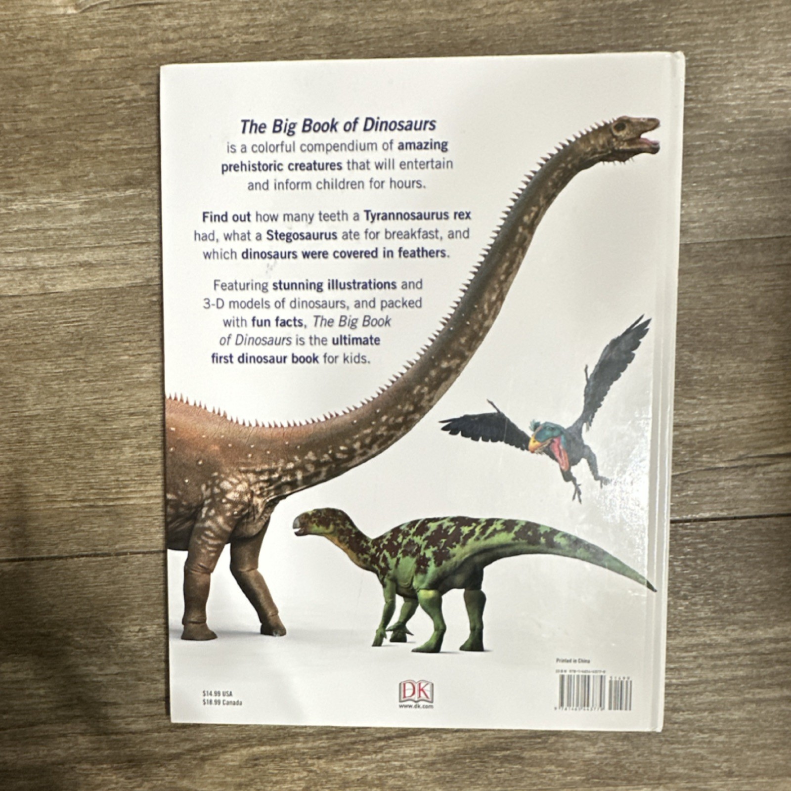 DK The Big Book of Dinosaurs Hardcover Illustrated Picture Book Ages 4-8