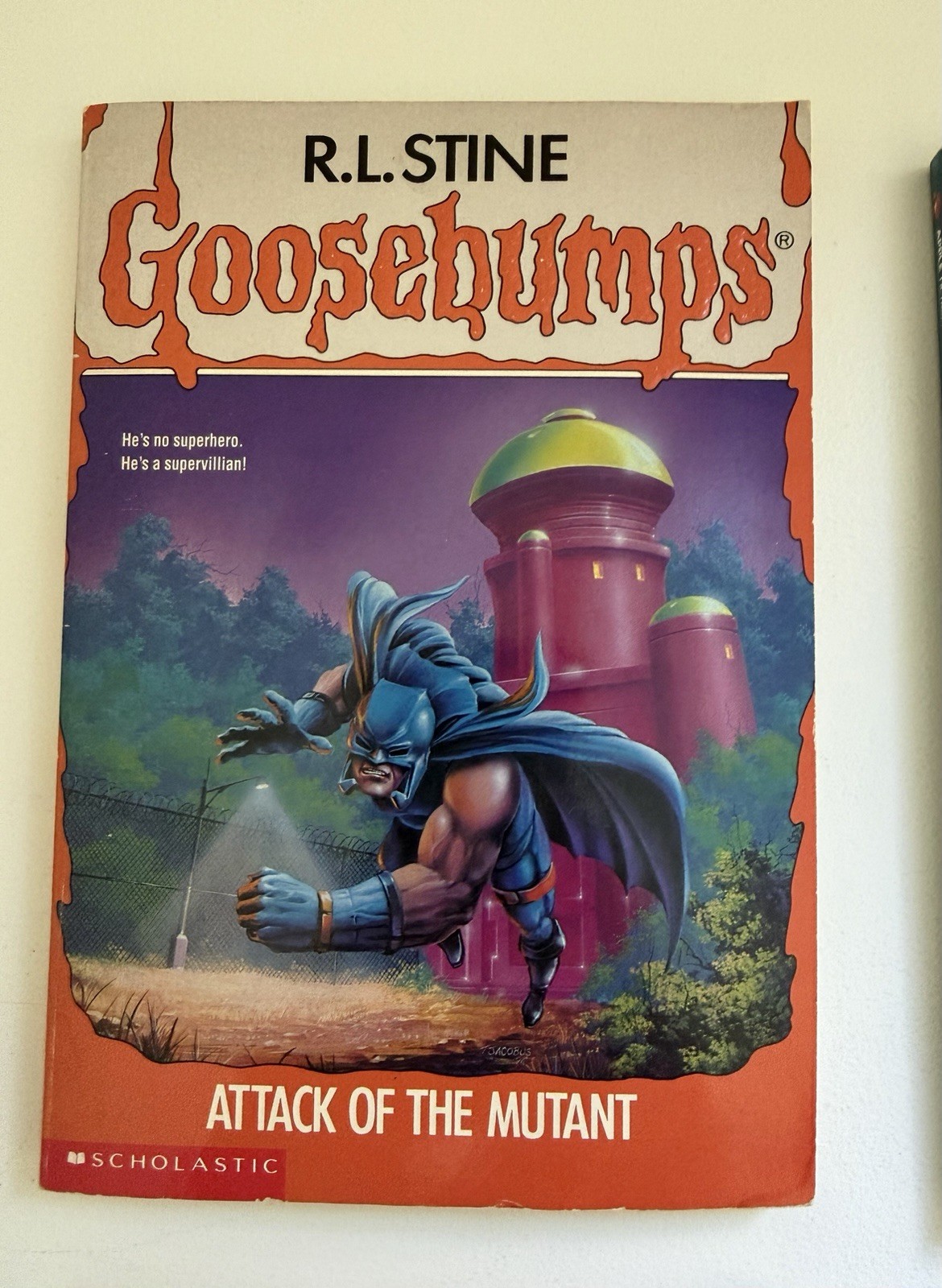 R.L. Stine Goosebumps Book Bundle Lot Of 4 1st Edition 1st Print Fast Ship VG+