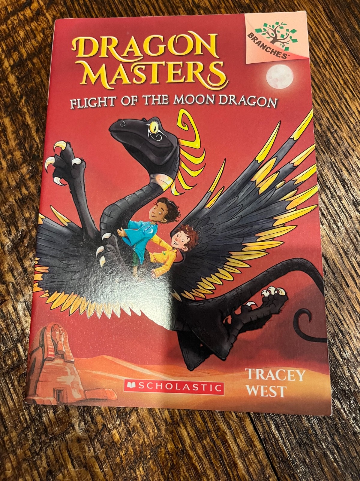 Dragon Masters Books 5-8 Scholastic Fantasy Adventure Paperback Set