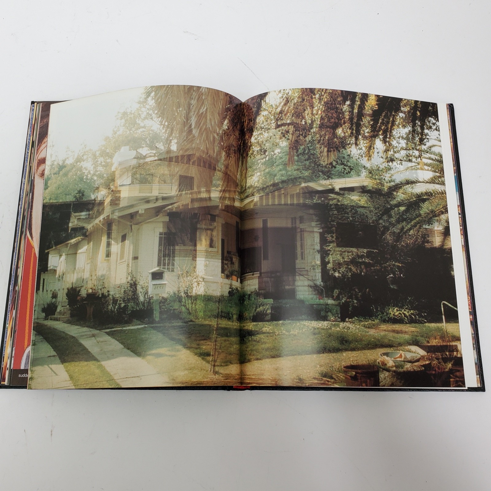 David Byrne Strange Ritual 1995 Hardcover 1st Edition Art Photo Talking Heads
