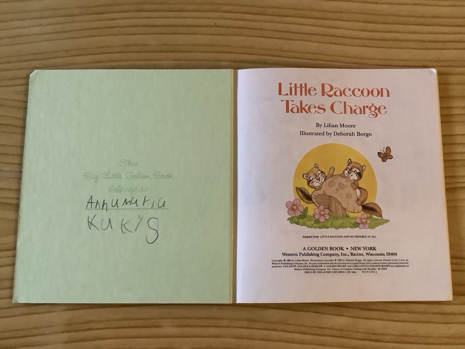 Lot Of Big Little Golden Books And A Golden Fuzzy Wuzzy Book