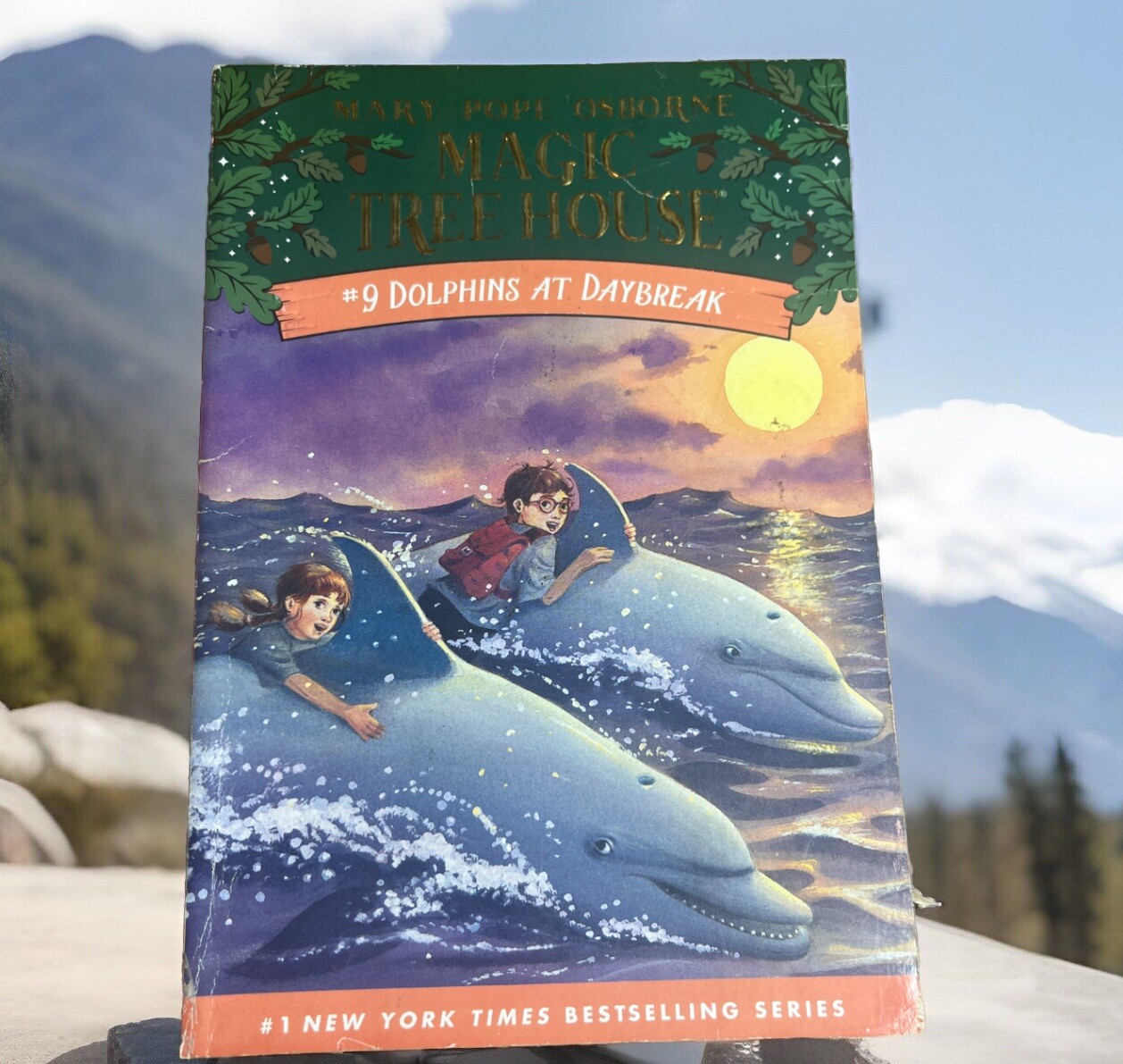 Dolphins at Daybreak (Magic Tree House, No. 9)