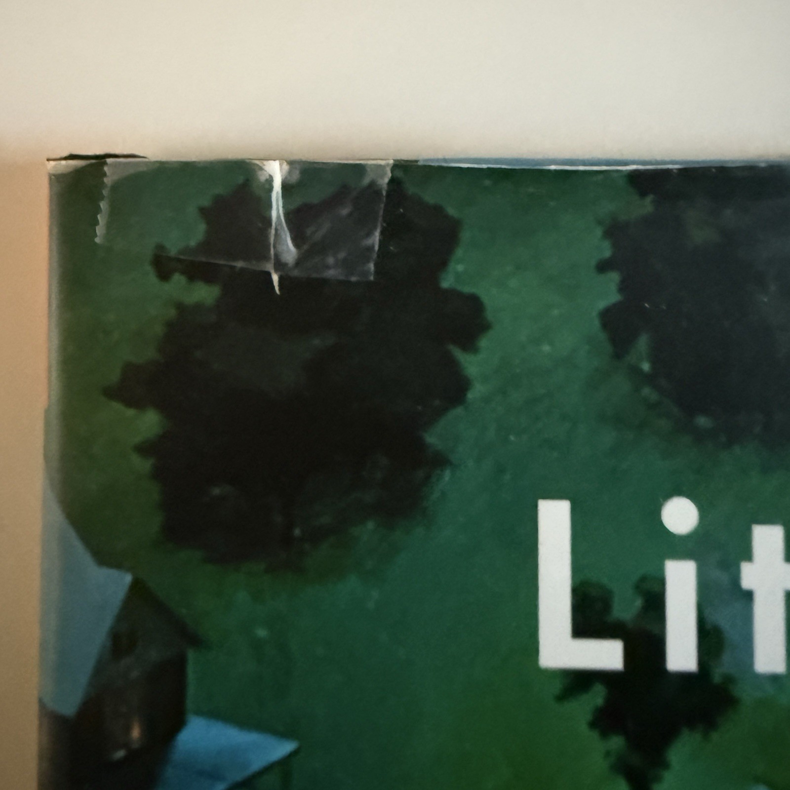 Little Fires Everywhere by Celeste Ng 2017 Hardcover SIGNED 1st Edition