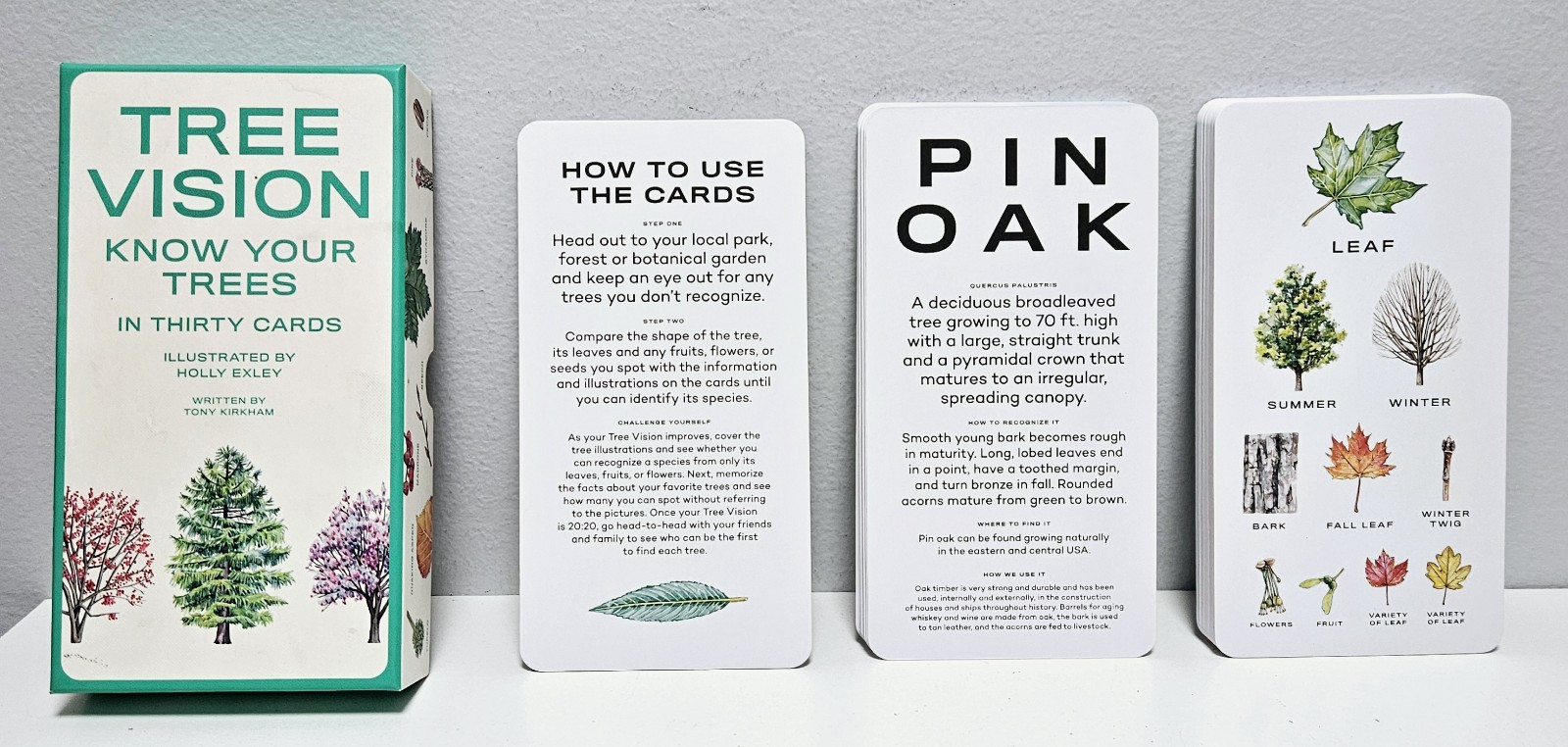 Tree Vision: Knowledge Your Trees In 30 Cards by Tony Kirkham & Holly Exley