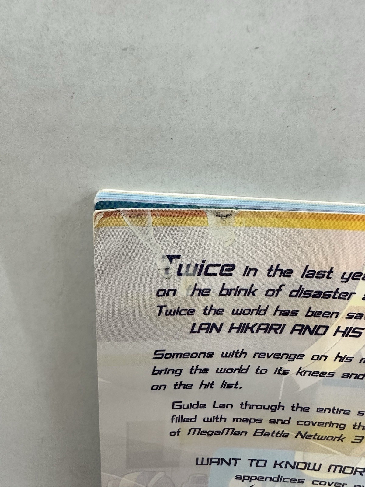Mega Man Battle Network 3 Official Strategy Guide
