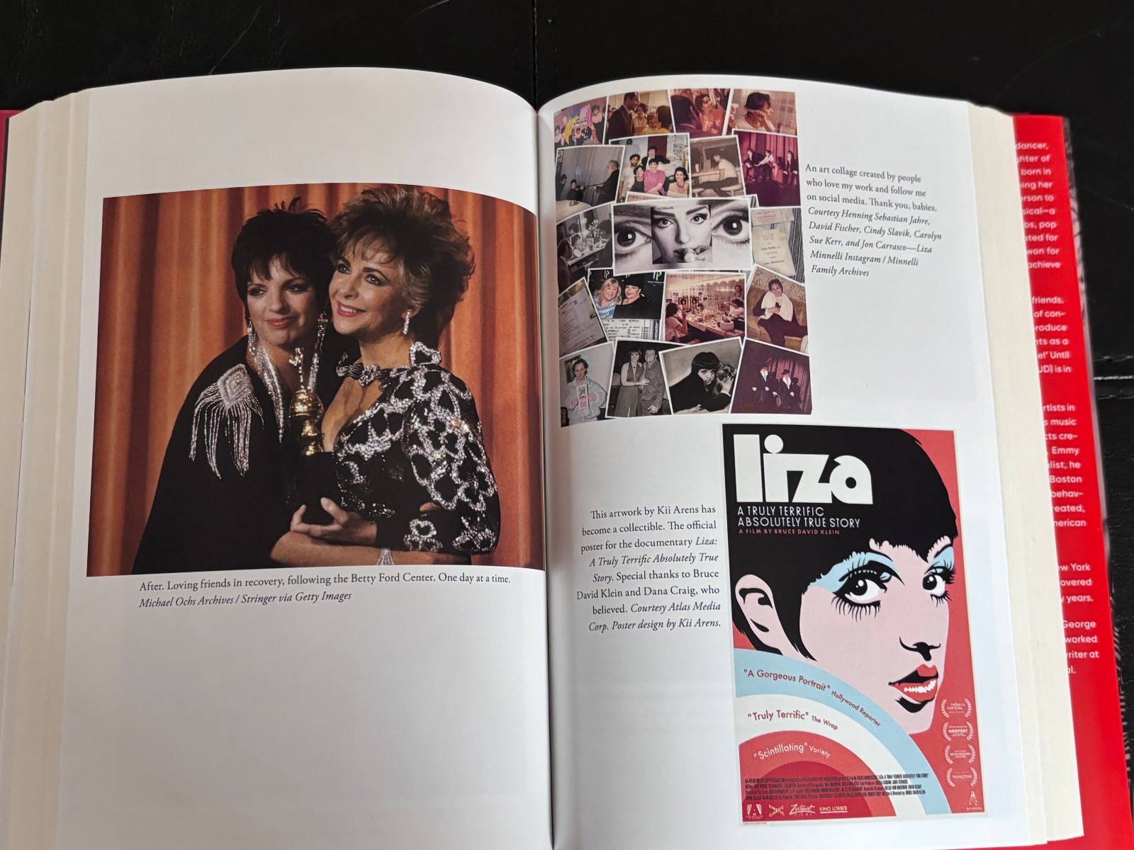 Kids, Wait till You Hear This! by Liza Minnelli (2026, Hardcover)