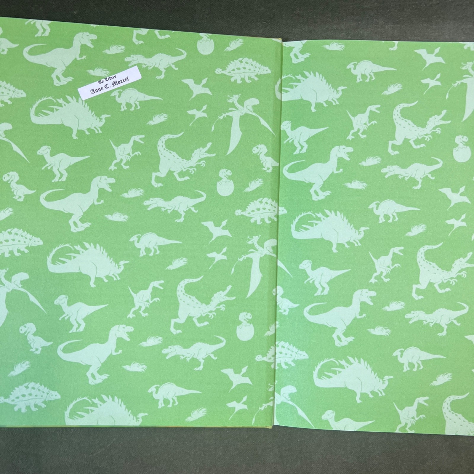 5 Dinosaur Child Books- 2 Ice Age, Dinosaur Dances, Dinosaur Dream, Dream Eater