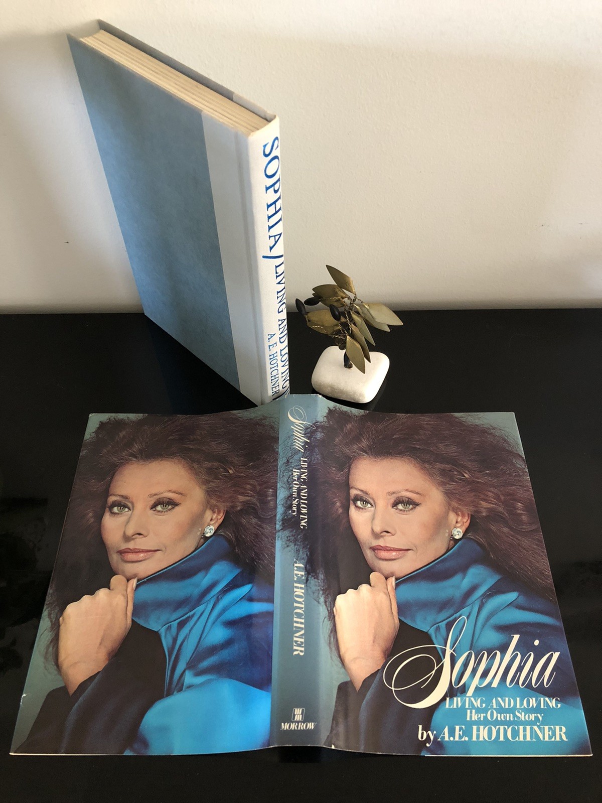 Sophia Living And Loving Her Own Story By A E Hotchner Morrow 1979 F. Ed/6Pr. HC