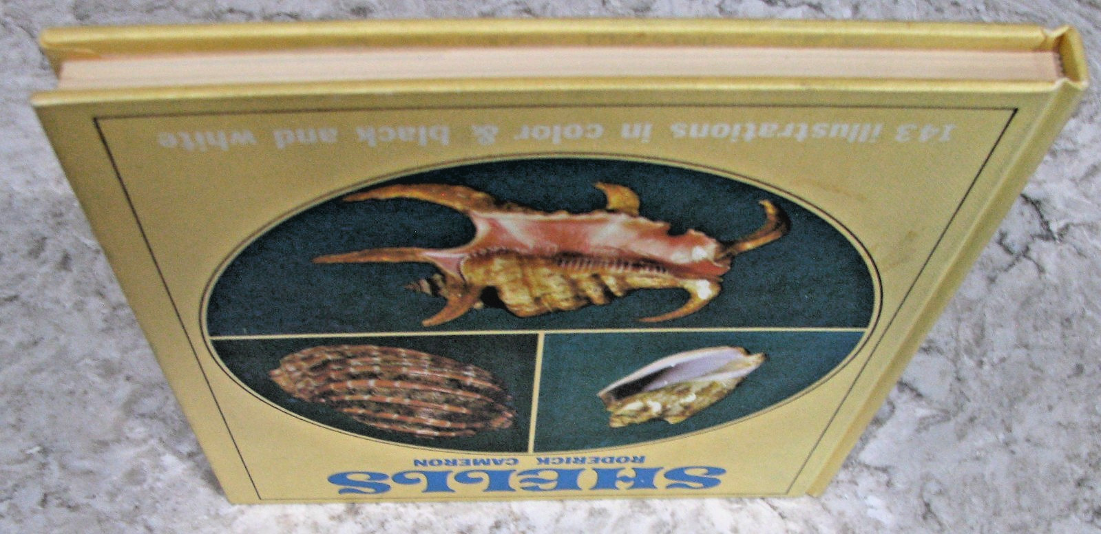 Shells by Roderick Cameron, octopus Books, 1972, 143 Illustrations, HB