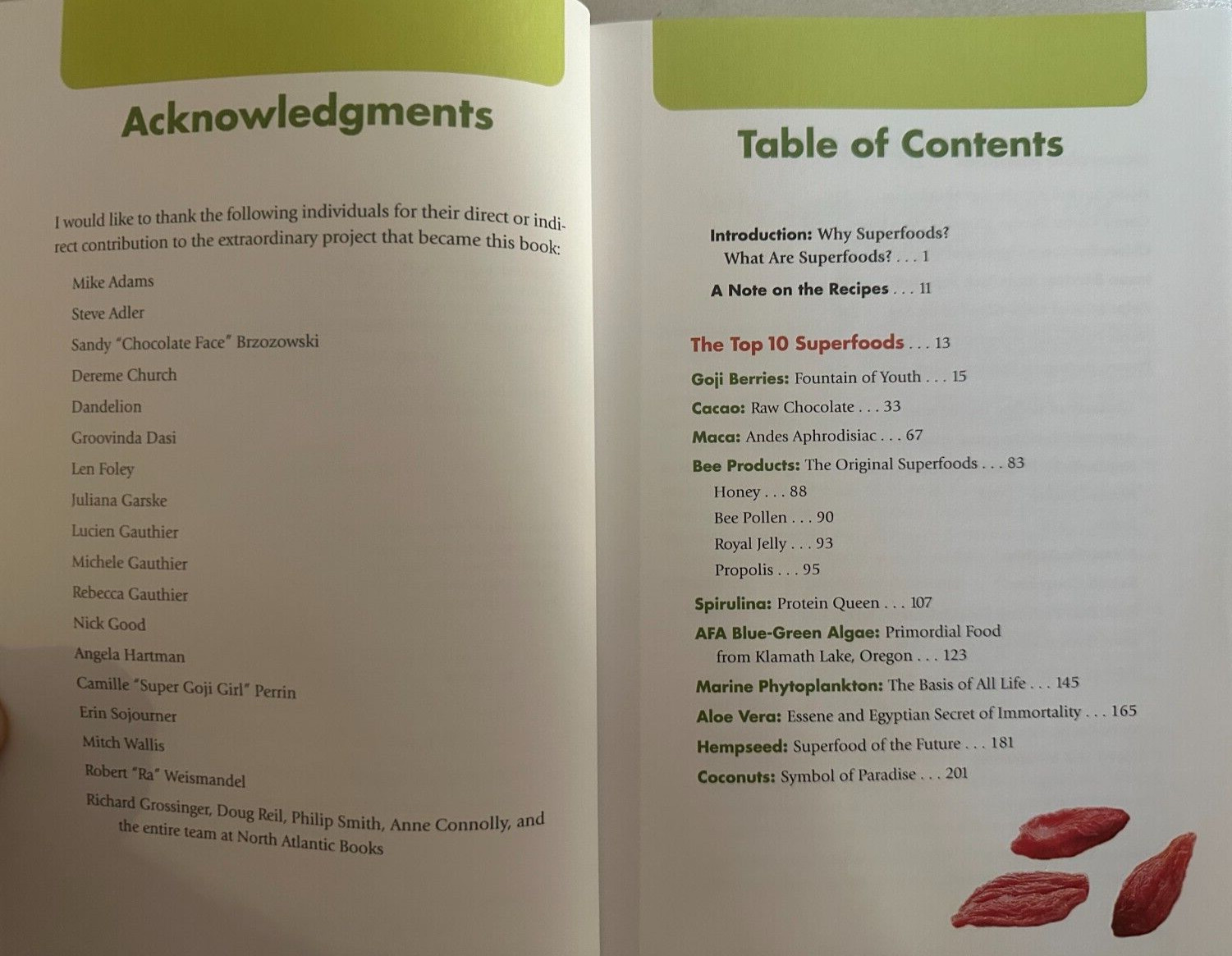 Superfoods – The Medicine Of The Future – David Wolfe 2009