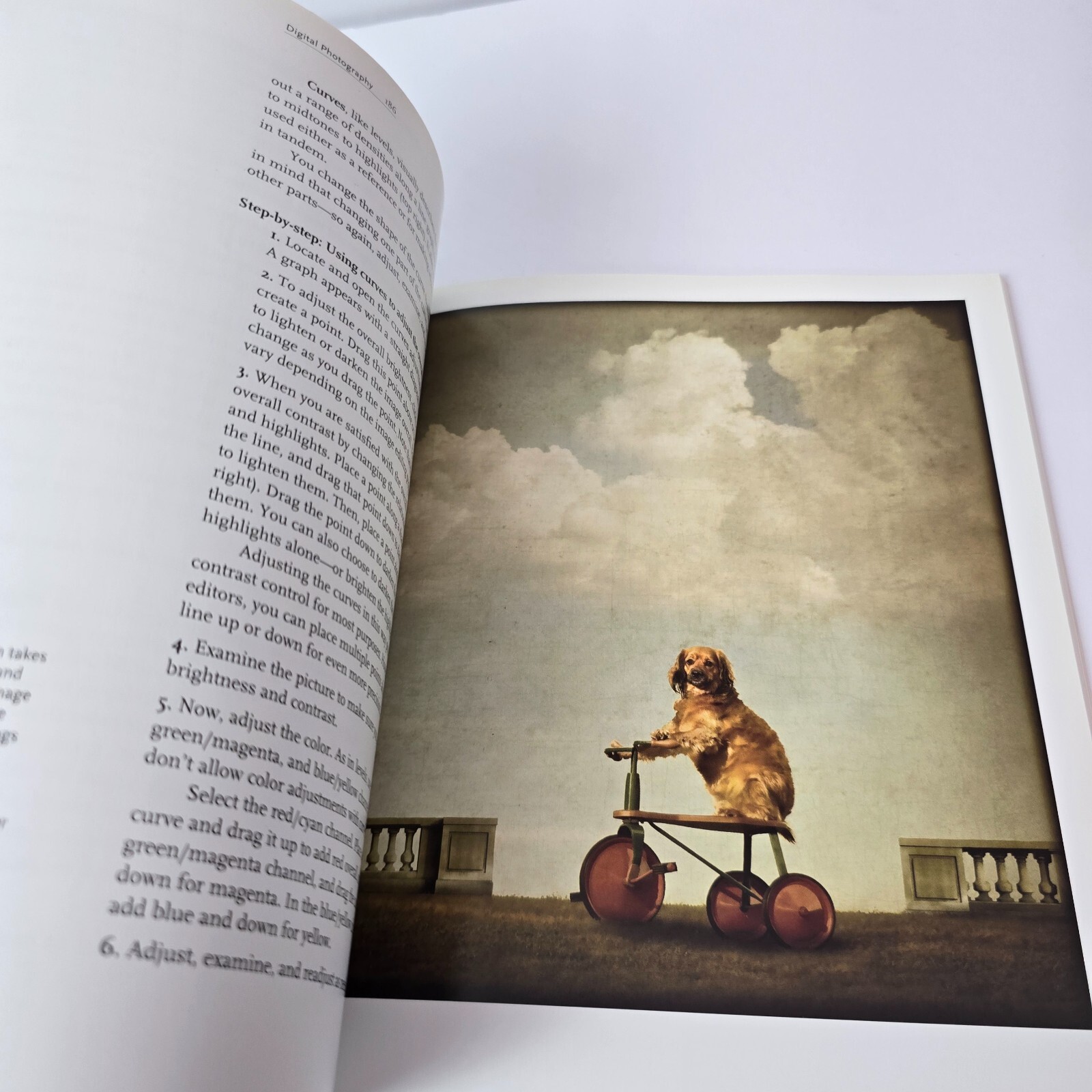 Digital Photography: A Basic Manual by Henry Horenstein