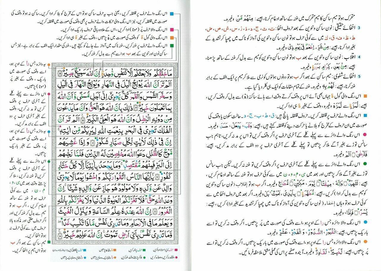 Tajweed Quran persian, Urdu & Southafrican Script with 15 Lines ( Ref 213)