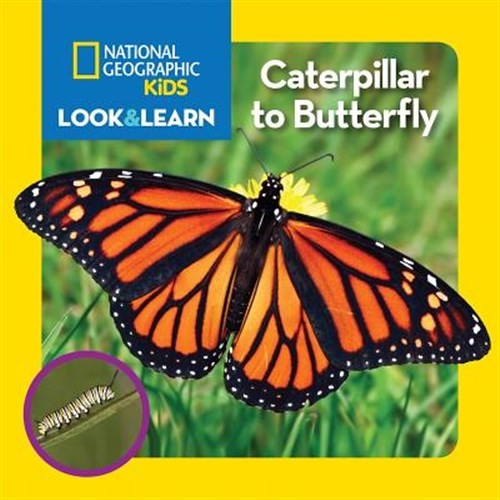 Caterpillar to Butterfly, Hardcover by Hughes, Catherine D., Brand New, Free …