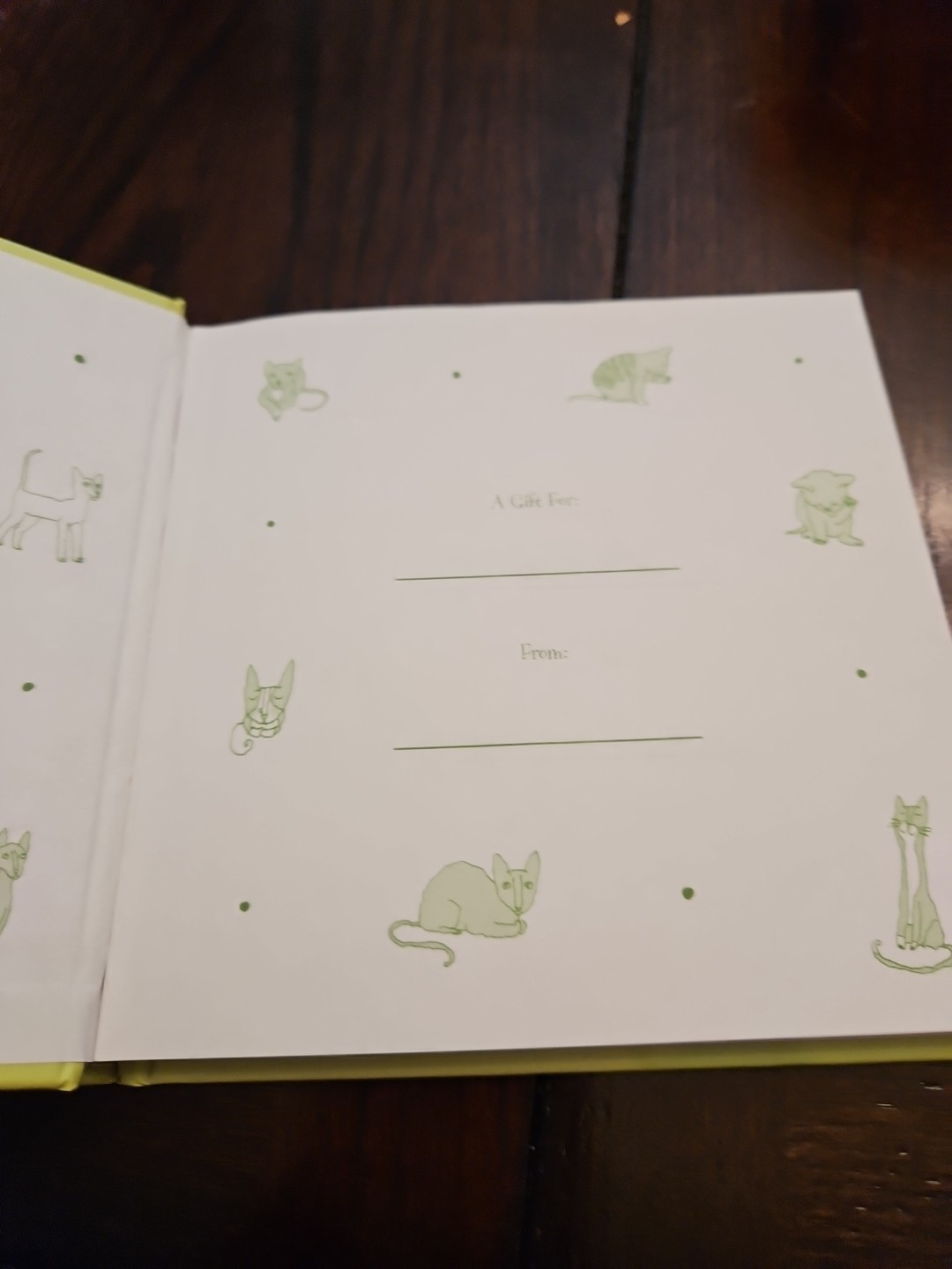 Cats Out Of Bag By Terry, Don And Ken Beck
