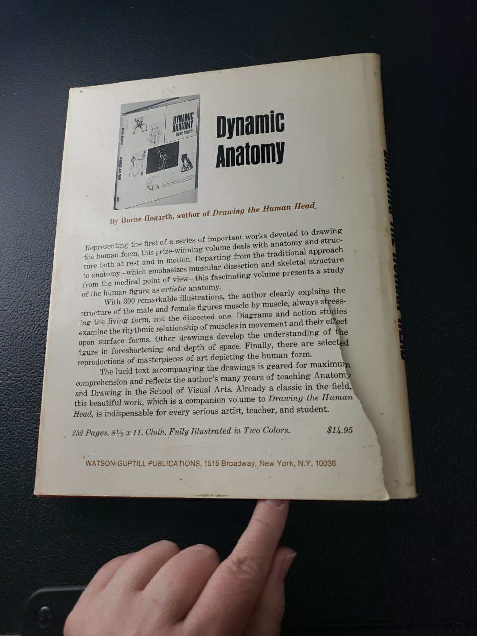 Drawing the Human Head Burne Hogarth 300 Illustration HC / DJ Book 1ST EDITION