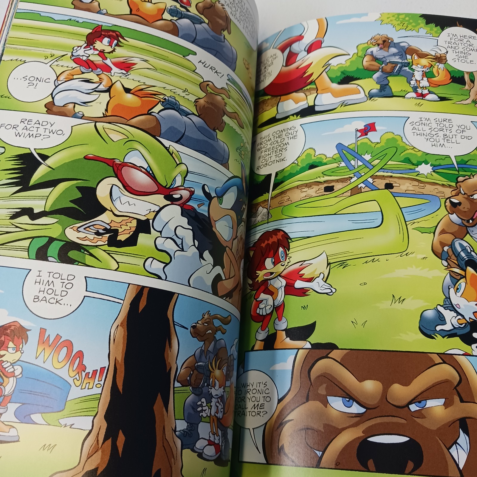 “Darkest Storm” – Sonic Saga Series No. 1 by Flynn, Fry; Amash (2012, PB)