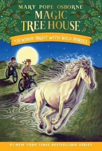 Mary Pope Osborne A.G. Ford Windy Night with Wild Horses (Paperback)