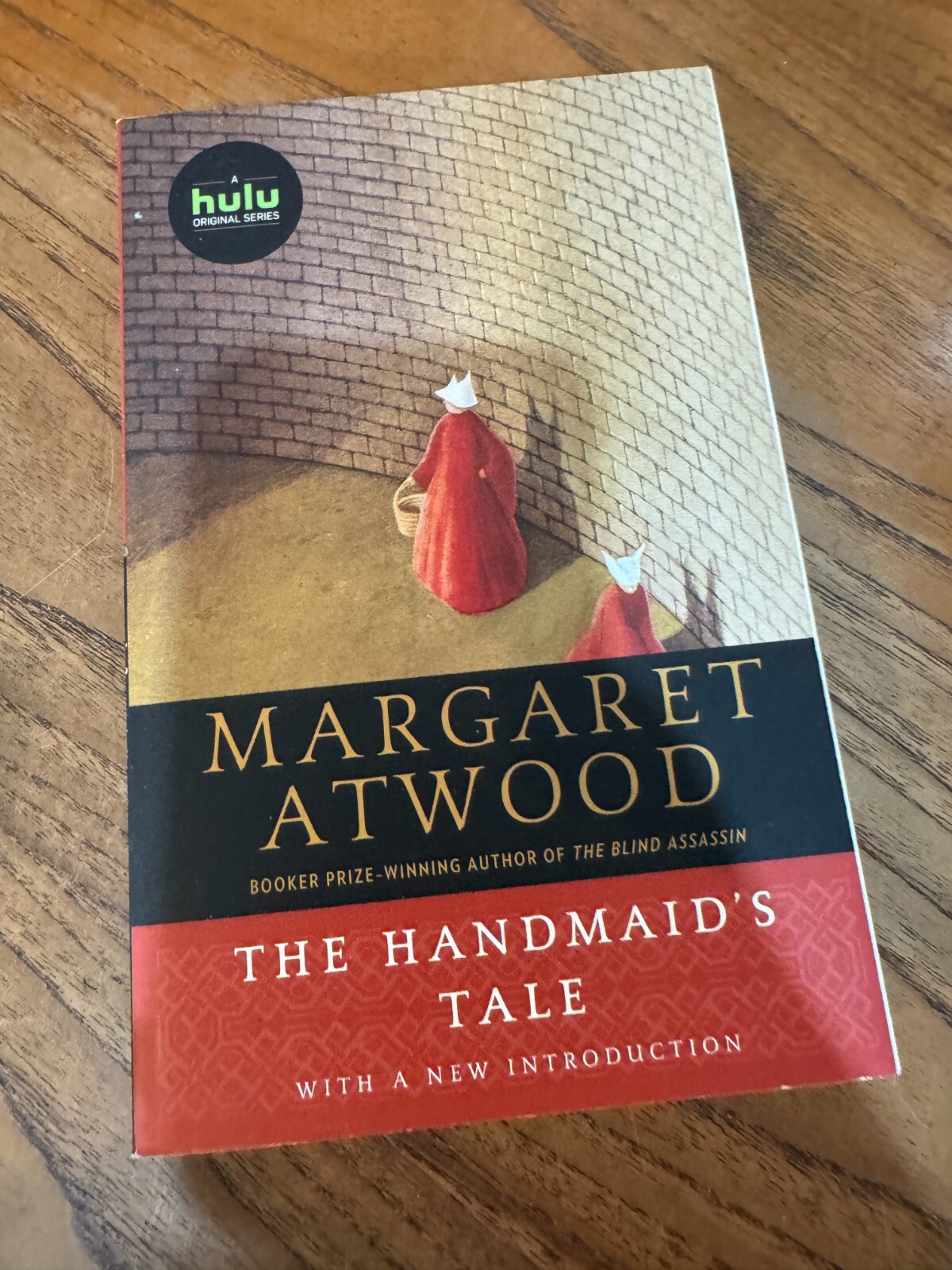 Challenged / Banned Books in the US (you pick) READ DESCRIPTION