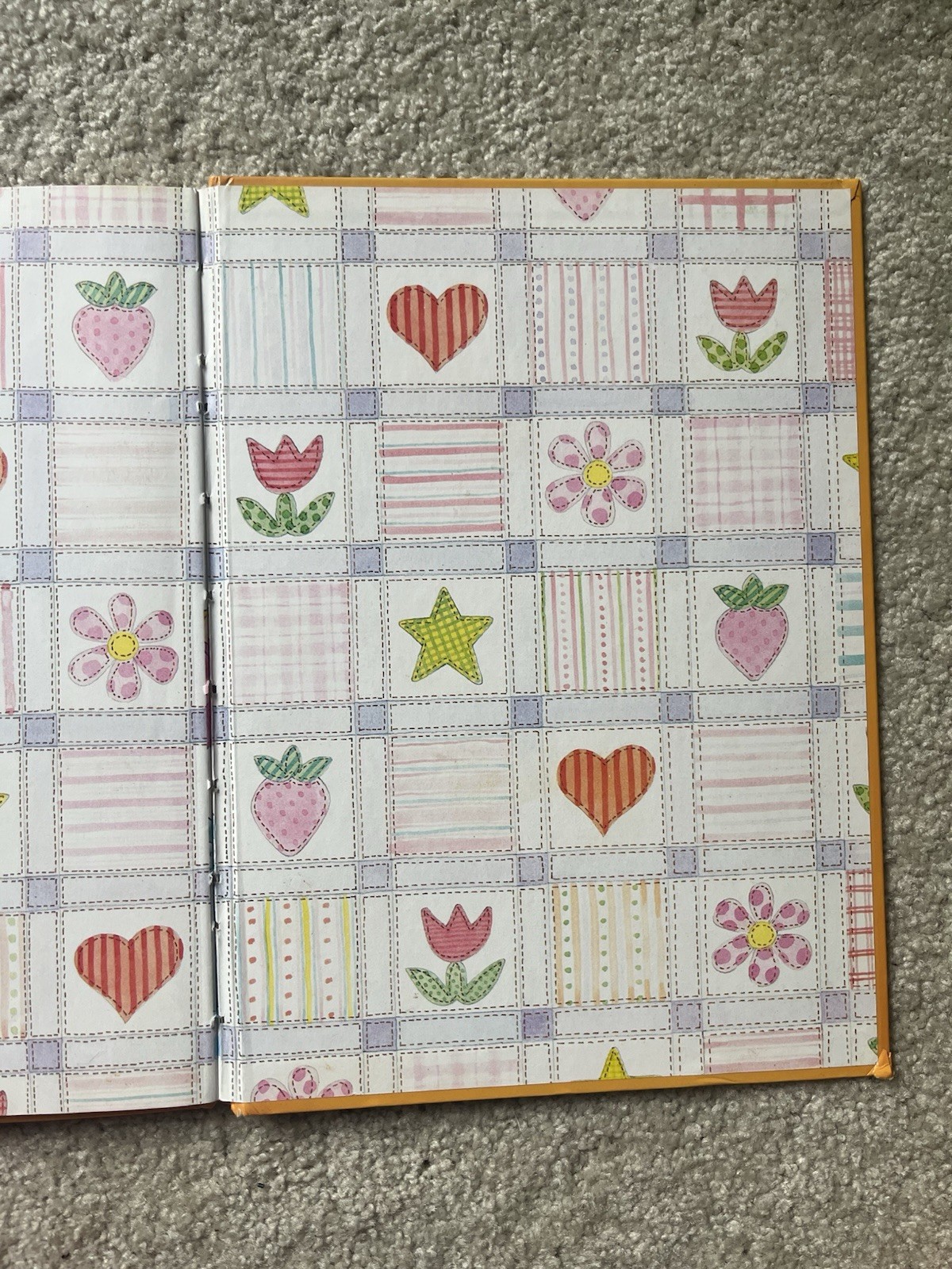 Strawberry Shortcake And The Birthday Surprise 1983 Hardback