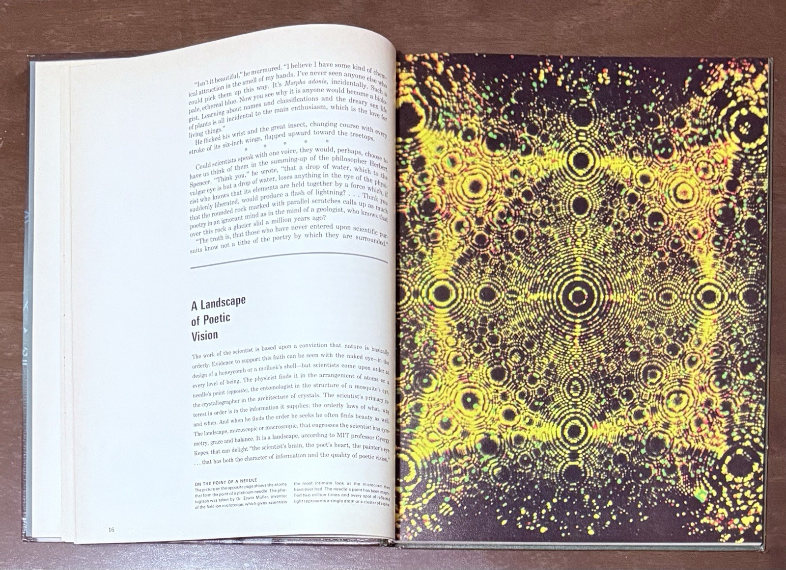 The Scientist by Henry Margenau & David Bergamini, Time Life Science Library mc2