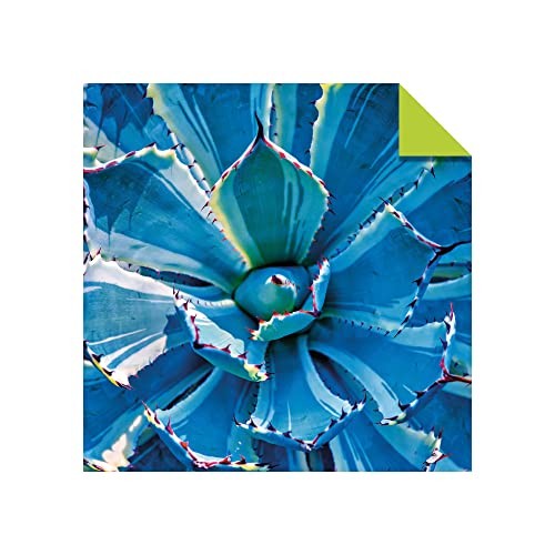 Origami Paper 500 sheets Succulents 6″ (15 cm): Tuttle Origami Paper: Double-Sid