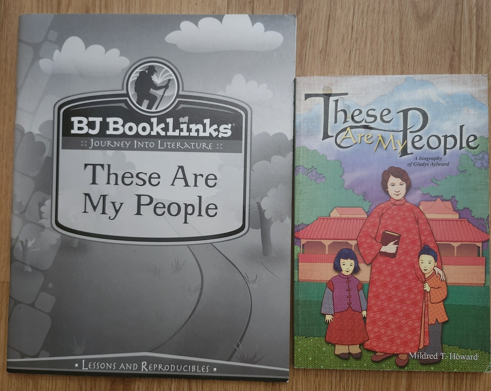 3 BJU Booklinks Pulling Together These Are My People Case Of The Dognapped Cat